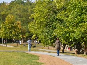 Špitálský les zas o něco prokoukl. Dostal nové cesty, lavičky  a vybavení dětského hřiště za 2,6 milionu
