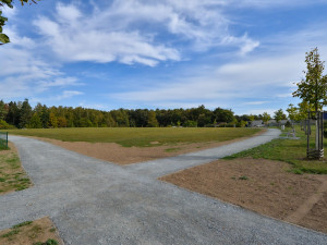 Špitálský les zas o něco prokoukl. Dostal nové cesty, lavičky  a vybavení dětského hřiště za 2,6 milionu