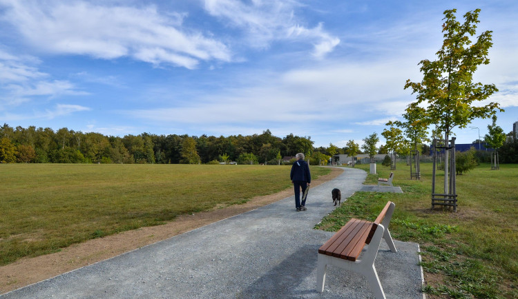 Špitálský les zas o něco prokoukl. Dostal nové cesty, lavičky  a vybavení dětského hřiště za 2,6 milionu