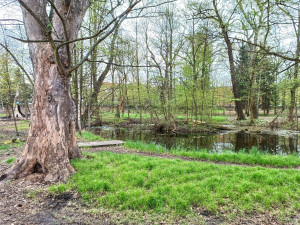 Dříve zpustlý Papírenský park projde proměnou, lidé se budou moci seznámit s návrhem revitalizace