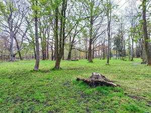 Dříve zpustlý Papírenský park projde proměnou, lidé se budou moci seznámit s návrhem revitalizace