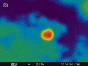 foto: Jan Walter, Západočeské muzeum v Plzni