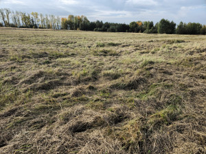S propady terénu se piloti na letišti setkávají poměrně často. Nerovnosti zaevidují a zasypou. 