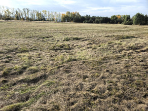 S propady terénu se piloti na letišti setkávají poměrně často. Nerovnosti zaevidují a zasypou. 