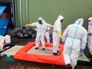 V kafilerii skončilo 740 tisíc slepic a miliony vajec, ptačí chřipka na Tachovsku neměla v Česku obdoby