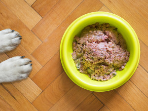 Granule pro psy s vysokým obsahem masa - jak si je nejlépe vybrat?