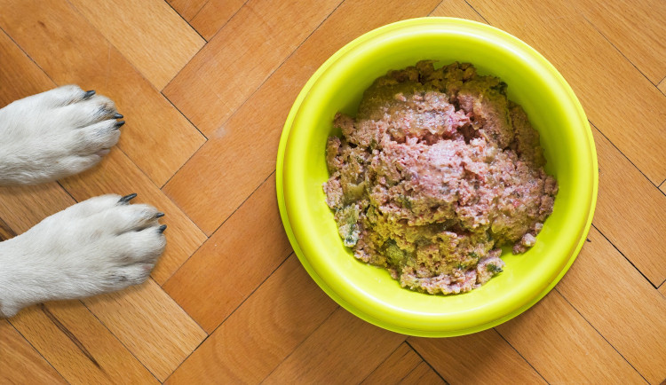 dog-food-g62a01f50c_1920
