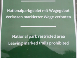 Turisté chodili i kam neměli. V centrální části NP Šumava platí nově omezení vstupu do jádra tetřeví populace