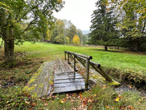 Pastviny pod Brčálníkem