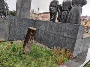U pomníku T. G. Masaryka opět roste lípa, předchozí vrostlý strom umořili lidé a psi močením