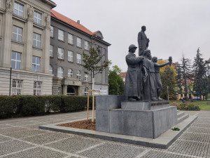 U pomníku T. G. Masaryka opět roste lípa, předchozí vrostlý strom umořili lidé a psi močením