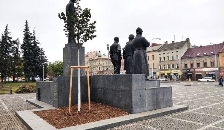 U pomníku T. G. Masaryka opět roste lípa, předchozí vrostlý strom umořili lidé a psi močením