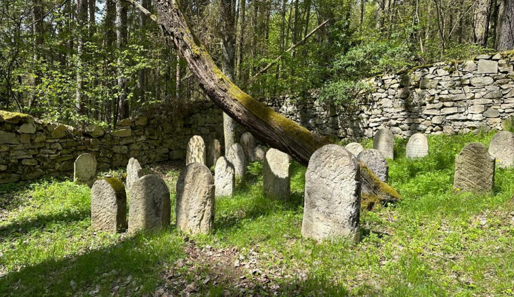 Spolek zdokumentoval 28 000 židovských náhrobků po celém Česku, hřbitovy lákají stále více turistů