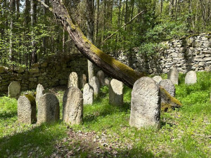 Spolek zdokumentoval 28 000 židovských náhrobků po celém Česku, hřbitovy lákají stále více turistů