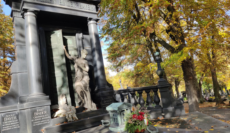 Rodina Binderova, Bayerova vrchní sládkové Plzeňského pivovaru