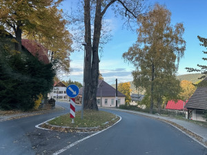 Uprostřed šumavské silnice vyrůstá z ostrůvku chráněný jasan, který nelze pokácet. Některým řidičům to vadí