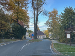 Uprostřed šumavské silnice vyrůstá z ostrůvku chráněný jasan, který nelze pokácet. Některým řidičům to vadí