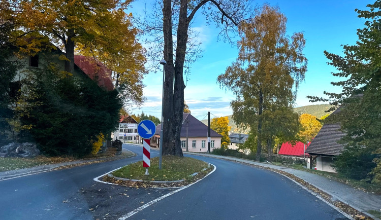 Uprostřed šumavské silnice vyrůstá z ostrůvku chráněný jasan, který nelze pokácet. Některým řidičům to vadí