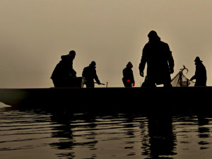 Rybáři vylovili Dolejští Padrťský rybník v srdci brdských lesů, kilo kapra vyjde na 99 korun