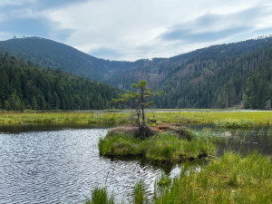 Velký Javor od malého javorského jezera malého
