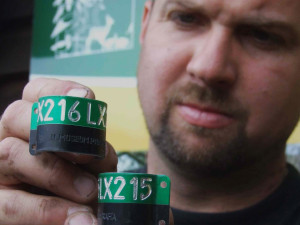 Takové kroužky dostal orel před 13 lety