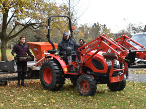Zahradníci vysázeli v největším městském parku tisíce tulipánů, narcisů a krokusů
