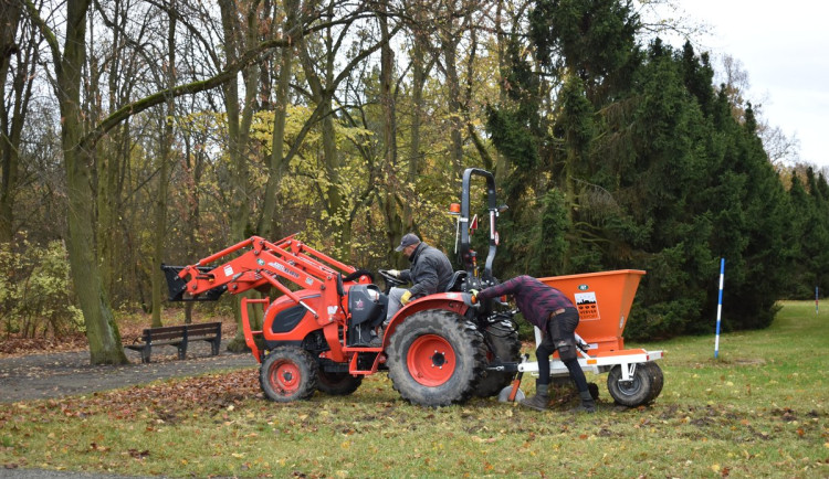 Zahradníci vysázeli v největším městském parku tisíce tulipánů, narcisů a krokusů