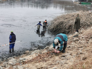 Městští rybáři o víkendu vyloví Drahotínský rybník, kilo kapra vyjde na 120 korun