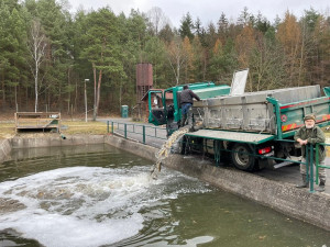 Městští rybáři o víkendu vyloví Drahotínský rybník, kilo kapra vyjde na 120 korun