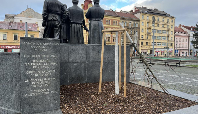 Vandal zpřelámal nově vysazenou lípu na náměstí T. G. Masaryka, nevydržela tam ani měsíc