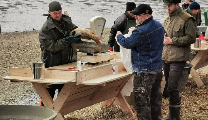 Městští rybáři o víkendu vyloví Drahotínský rybník, kilo kapra vyjde na 120 korun
