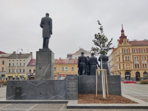 Nový strom vysadilo město 24. října