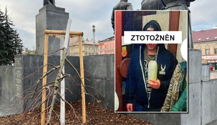 Vandal, který zpřerážel okrasnou lípu u pomníku T.G.M, se přišel sám udat na policii