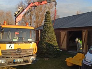 Příprava plovoucího stromku