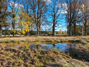 Na bývalé protitankové střelnici v Brdech vzniklo 11 nových tůní, pomohou zadržet vodu v krajině