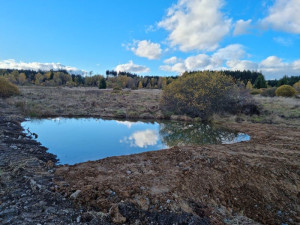 Na bývalé protitankové střelnici v Brdech vzniklo 11 nových tůní, pomohou zadržet vodu v krajině
