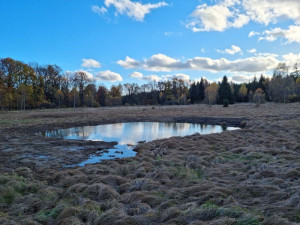 Na bývalé protitankové střelnici v Brdech vzniklo 11 nových tůní, pomohou zadržet vodu v krajině