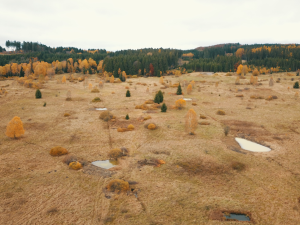 Na bývalé protitankové střelnici v Brdech vzniklo 11 nových tůní, pomohou zadržet vodu v krajině