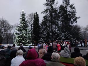 Senioři ze Čtyřlístku si užili rozsvícení vánočního stromečku, nechybělo ani zpívání koled či ochutnávka cukroví