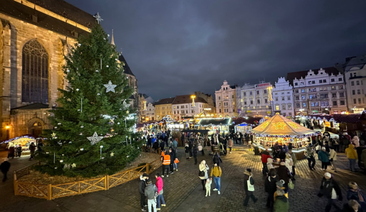 Letošním vánočním stromem je v Plzni smrk ztepilý