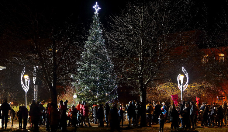 Na plzeňské Doubravce se vánoční strom rozzáří už 2. prosince, chybět nebude ohňostroj a ledové sochy