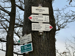 Zdolejte v zimě horu Nad Maráskem, jde o nejvyšší brdský vrchol v Plzeňském kraji. A užijete si i výhledy