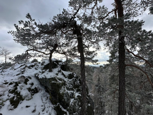 Zdolejte v zimě horu Nad Maráskem, jde o nejvyšší brdský vrchol v Plzeňském kraji. A užijete si i výhledy