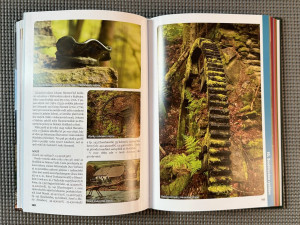 Toulání ztracenou Šumavou