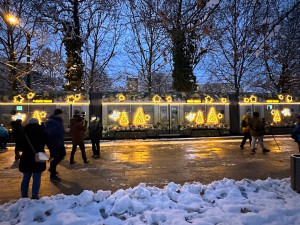 Na svoji premiérovou jízdu vyrazila do plzeňských ulic speciálně vyzdobená vánoční tramvaj ve zlaté barvě