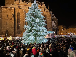 Plzeňané se konečně dočkali, nazdobený vánoční strom rozzářil náměstí Republiky