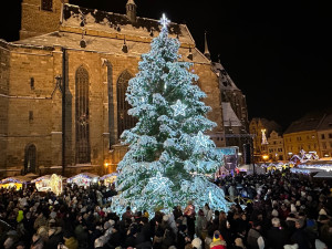 Plzeňané se konečně dočkali, nazdobený vánoční strom rozzářil náměstí Republiky