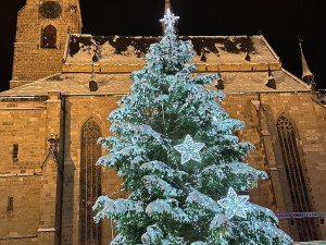 Plzeňané se konečně dočkali, nazdobený vánoční strom rozzářil náměstí Republiky