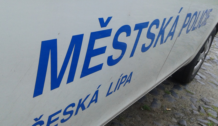 Výtržníci pořvávali sprosťárny a pak napadli strážníky. Ti si s nimi poradili