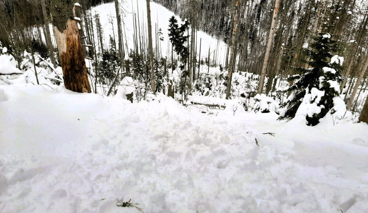 Lyžař utrhl lavinu v přísně chráněné rezervaci CHKO Šumava, zůstal zavalený pod sněhem